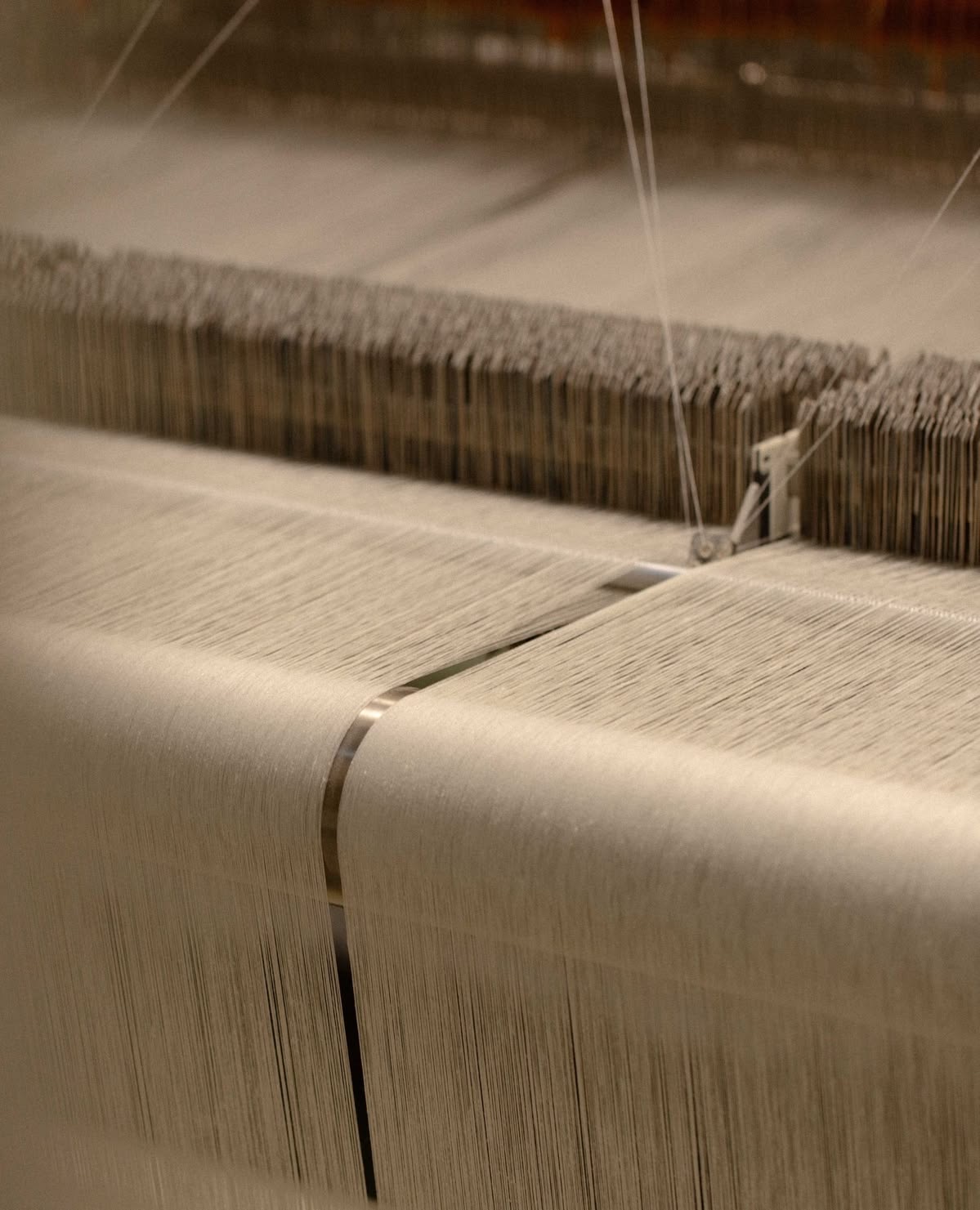 Fine neutral threads stretched across a textile loom